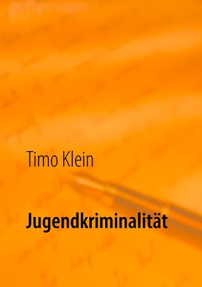 Jugendkriminalität von Klein,  Timo