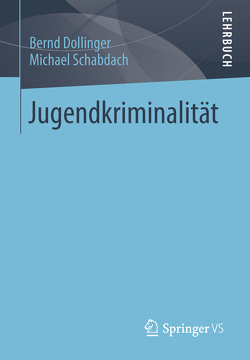 Jugendkriminalität von Dollinger,  Bernd, Schabdach,  Michael