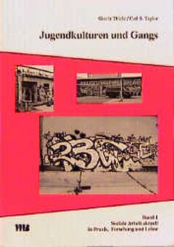 Jugendkulturen und Gangs von Taylor,  Carl S, Thiele,  Gisela