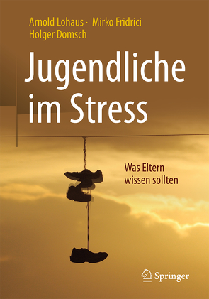 Jugendliche im Stress von Domsch,  Holger, Fridrici,  Mirko, Lohaus,  Arnold