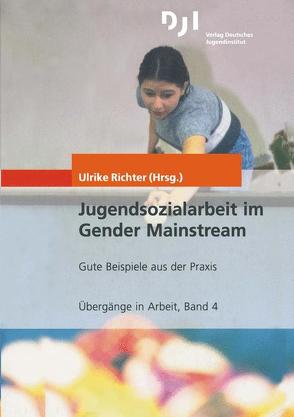 Jugendsozialarbeit im Gender Mainstream von Richter,  Ulrike