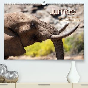 Jumbo Auf den Spuren der Elefanten in Namibia (Premium, hochwertiger DIN A2 Wandkalender 2020, Kunstdruck in Hochglanz) von Imhof,  Walter