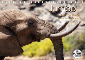 Jumbo – Auf den Spuren der Elefanten in Namibia (Tischkalender 2020 DIN A5 quer) von Imhof,  Walter