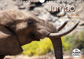 Jumbo – Auf den Spuren der Elefanten in Namibia (Wandkalender 2020 DIN A4 quer) von Imhof,  Walter