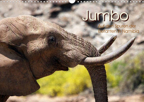 Jumbo Auf den Spuren der Elefanten in Namibia (Wandkalender 2023 DIN A3 quer) von Imhof,  Walter