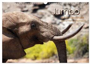 Jumbo Auf den Spuren der Elefanten in Namibia (Wandkalender 2024 DIN A3 quer), CALVENDO Monatskalender von Imhof,  Walter