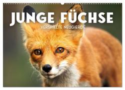 Junge Füchse – Verspielte Neugierde. (Wandkalender 2024 DIN A2 quer), CALVENDO Monatskalender von SF,  SF