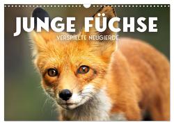 Junge Füchse – Verspielte Neugierde. (Wandkalender 2024 DIN A3 quer), CALVENDO Monatskalender von SF,  SF