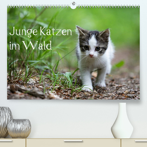 Junge Katzen im Wald (Premium, hochwertiger DIN A2 Wandkalender 2022, Kunstdruck in Hochglanz) von Oldani,  Dorothea
