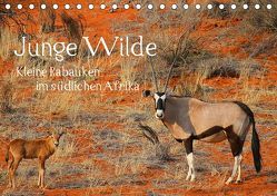Junge Wilde – Kleine Rabauken im südlichen AfrikaCH-Version (Tischkalender 2019 DIN A5 quer) von Schneeberger,  Daniel