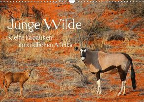 Junge Wilde – Kleine Rabauken im südlichen AfrikaCH-Version (Wandkalender 2019 DIN A3 quer) von Schneeberger,  Daniel