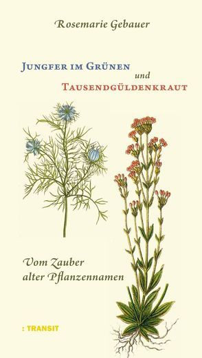 Jungfer im Grünen und Tausendgüldenkraut von Gebauer,  Rosemarie