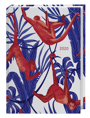 Jungle Monkey Kalenderbuch A5 Kalender 2020 von Heye