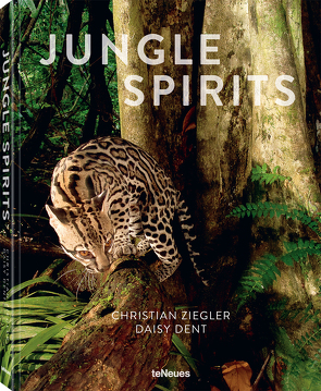 Jungle Spirits von Dent,  Daisy, Ziegler,  Christian