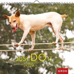 Just do it 2019 von Groh Redaktionsteam