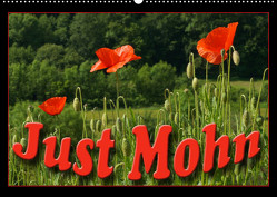 Just Mohn (Wandkalender 2023 DIN A2 quer) von Flori0
