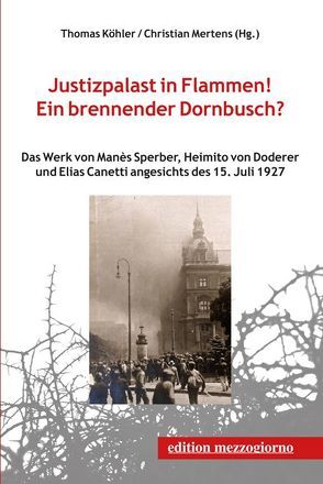 Justizpalast in Flammen! Ein brennender Dornbusch? von Fischer,  Heinz, Köhler,  Thomas, Mertens,  Christian