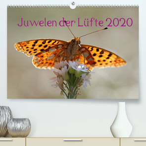 Juwelen der Lüfte 2020 (Premium, hochwertiger DIN A2 Wandkalender 2020, Kunstdruck in Hochglanz) von Witkowski,  Bernd