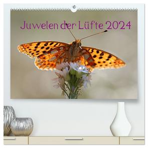 Juwelen der Lüfte 2024 (hochwertiger Premium Wandkalender 2024 DIN A2 quer), Kunstdruck in Hochglanz von Witkowski,  Bernd