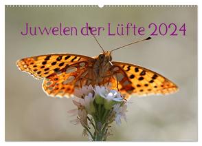 Juwelen der Lüfte 2024 (Wandkalender 2024 DIN A2 quer), CALVENDO Monatskalender von Witkowski,  Bernd