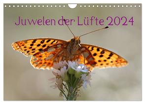 Juwelen der Lüfte 2024 (Wandkalender 2024 DIN A4 quer), CALVENDO Monatskalender von Witkowski,  Bernd