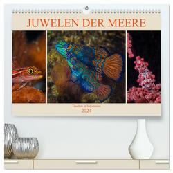 Juwelen der Meere (hochwertiger Premium Wandkalender 2024 DIN A2 quer), Kunstdruck in Hochglanz von Gödecke,  Dieter