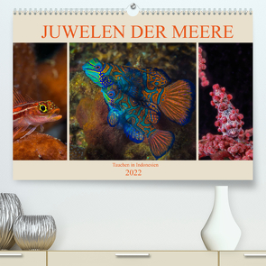 Juwelen der Meere (Premium, hochwertiger DIN A2 Wandkalender 2022, Kunstdruck in Hochglanz) von Gödecke,  Dieter
