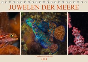 Juwelen der Meere (Tischkalender 2018 DIN A5 quer) von Gödecke,  Dieter