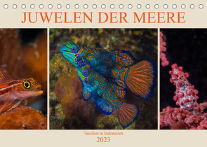 Juwelen der Meere (Tischkalender 2023 DIN A5 quer) von Gödecke,  Dieter