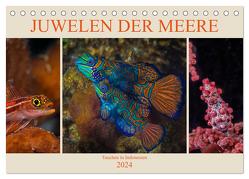 Juwelen der Meere (Tischkalender 2024 DIN A5 quer), CALVENDO Monatskalender von Gödecke,  Dieter