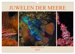 Juwelen der Meere (Wandkalender 2024 DIN A3 quer), CALVENDO Monatskalender von Gödecke,  Dieter