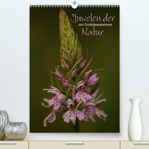 Juwelen der Natur – Ein Orchideensommer (Premium, hochwertiger DIN A2 Wandkalender 2023, Kunstdruck in Hochglanz) von Stamm,  Dirk