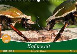 Käferwelt – Kampf der Titanen (Wandkalender 2019 DIN A3 quer) von Hilger,  Axel