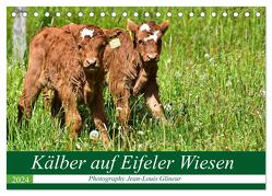 Kälber auf Eifeler Wiesen (Tischkalender 2024 DIN A5 quer), CALVENDO Monatskalender von Glineur,  Jean-Louis