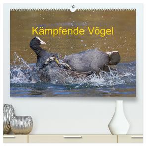 Kämpfende Vögel (hochwertiger Premium Wandkalender 2024 DIN A2 quer), Kunstdruck in Hochglanz von Martin (GDT),  Wilfried
