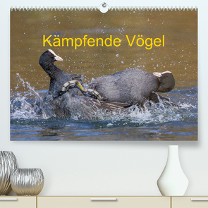 Kämpfende Vögel (Premium, hochwertiger DIN A2 Wandkalender 2023, Kunstdruck in Hochglanz) von Martin (GDT),  Wilfried