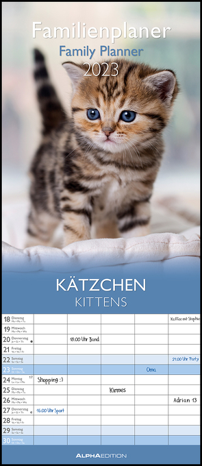Kätzchen 2023 Familienplaner – Familienkalender – Wandkalender – 19,5×45