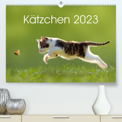 Kätzchen 2023 (Premium, hochwertiger DIN A2 Wandkalender 2023, Kunstdruck in Hochglanz) von LEOBA