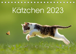 Kätzchen 2023 (Tischkalender 2023 DIN A5 quer) von LEOBA