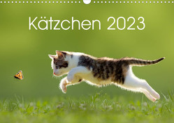 Kätzchen 2023 (Wandkalender 2023 DIN A3 quer) von LEOBA