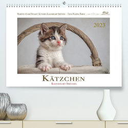 Kätzchen-Kalender mit Sprüchen (Premium, hochwertiger DIN A2 Wandkalender 2023, Kunstdruck in Hochglanz) von Wrede - Wredefotografie,  Martina