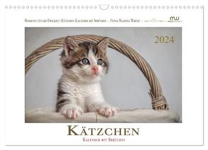 Kätzchen-Kalender mit Sprüchen (Wandkalender 2024 DIN A3 quer), CALVENDO Monatskalender von Wrede - Wredefotografie,  Martina