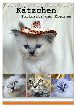 Kätzchen – Portraits der Kleinen (Tischkalender 2024 DIN A5 hoch), CALVENDO Monatskalender von Chrystal,  Jennifer