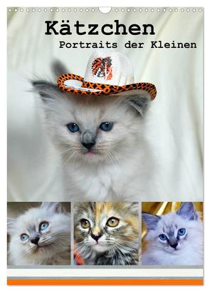 Kätzchen – Portraits der Kleinen (Wandkalender 2024 DIN A3 hoch), CALVENDO Monatskalender von Chrystal,  Jennifer