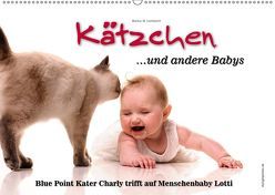 Kätzchen und andere Babys (Wandkalender 2019 DIN A2 quer) von W. Lambrecht,  Markus