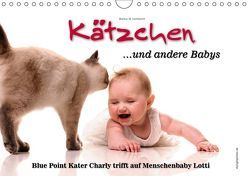 Kätzchen und andere Babys (Wandkalender 2019 DIN A4 quer) von W. Lambrecht,  Markus