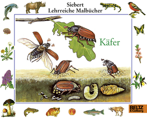 Käfer von Eigner,  Erwin, Etschmann,  Ina, Etschmann,  Walter