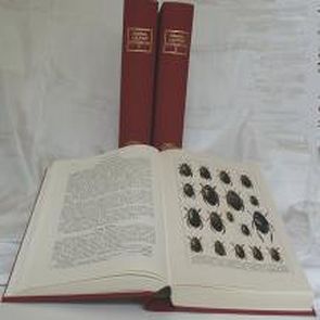 Käferbuch von Calwer,  C G, Schaufuss,  Camillo