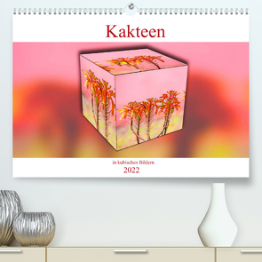 Kakteen in kubischen Bildern (Premium, hochwertiger DIN A2 Wandkalender 2022, Kunstdruck in Hochglanz) von Schwarze,  Nina