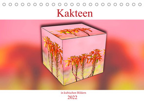 Kakteen in kubischen Bildern (Tischkalender 2022 DIN A5 quer) von Schwarze,  Nina